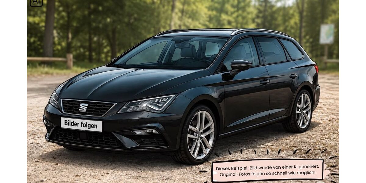 Seat Leon 197.000 km 8.000 &euro; Röthenbach a. d. Peg. 90552