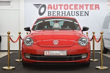 VW Beetle