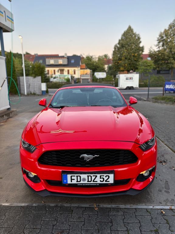 Mustang