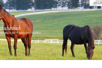 Grundstück Prichsenstadt Kirchschönbach - 750.000&euro; | Angebot:23956386