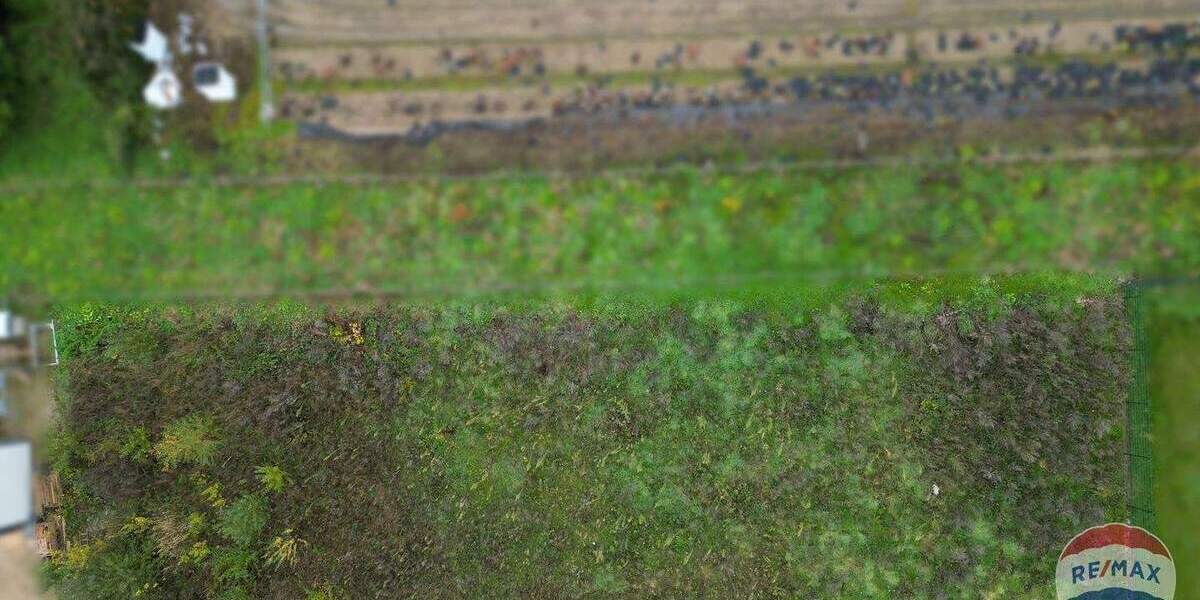 Grundstück Goch Nierswalde - 270.000&euro; | Angebot:25337397