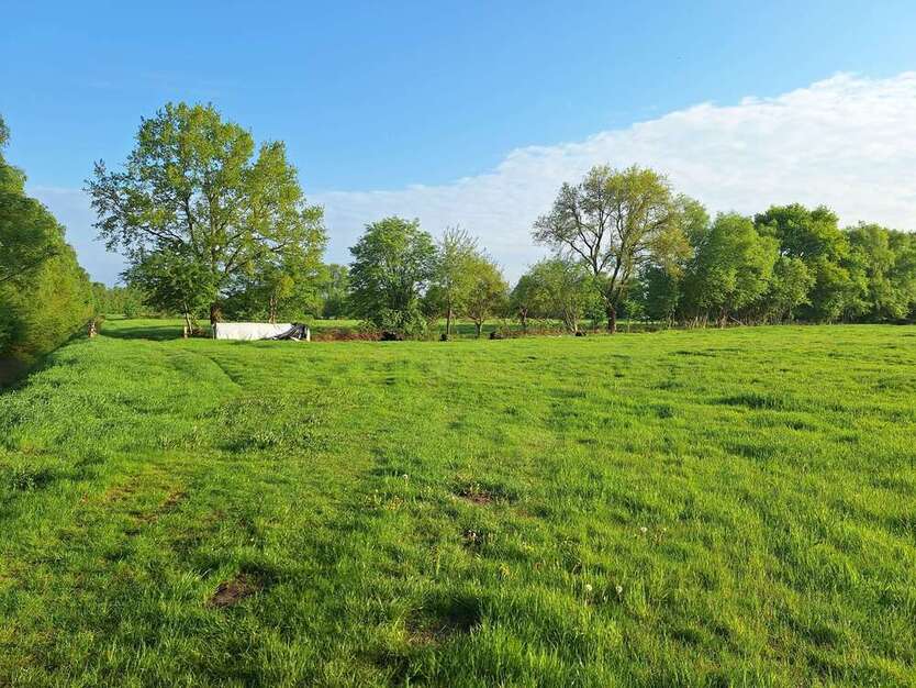 Grundstück zu verkaufen in Oldenburg 385.000 € 38987 m²