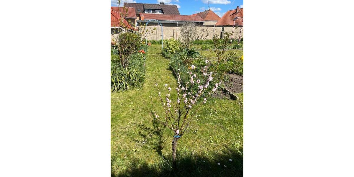 Einfamilienhaus Wettin-Löbejün Löbejün - 3 Zimmer, 130 m&sup2;, 330.000&euro; | Angebot:26292918