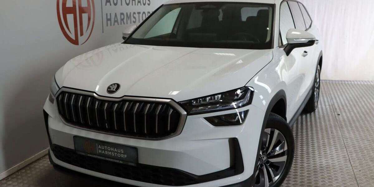 Skoda Kodiaq 1.060 km 38.989 &euro; Harmstorf 21228