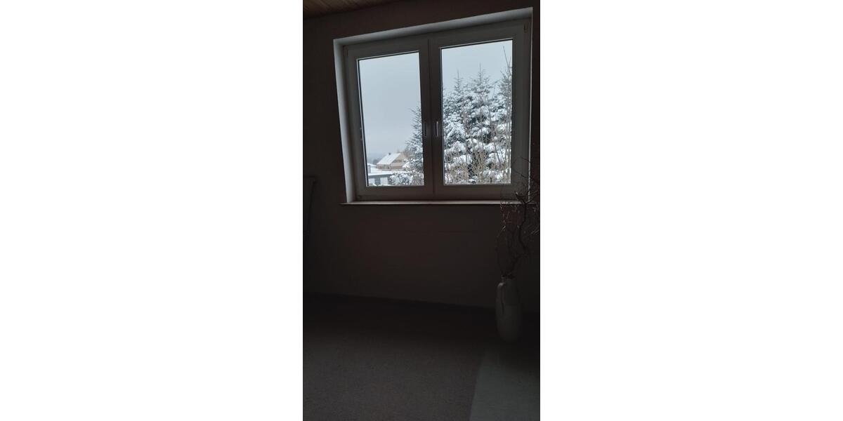 Wohnung zum vermieten 650 kalt in Issigau bei Naila 3 zimmer