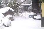 Bungalow Thale - 3 Zimmer, 42 m&sup2;, 89.000&euro; | Angebot:25056393