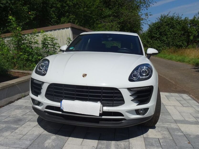Macan