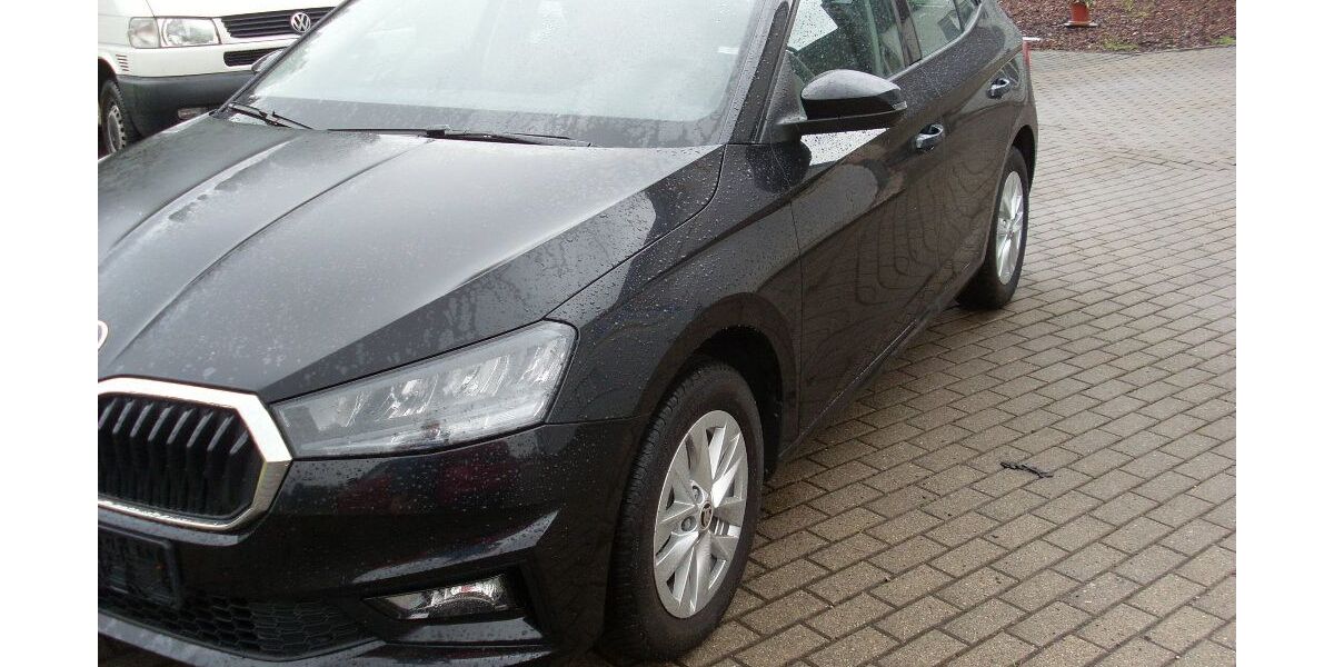 Skoda Fabia 55.400 km 12.950 &euro; Waldheim 04736