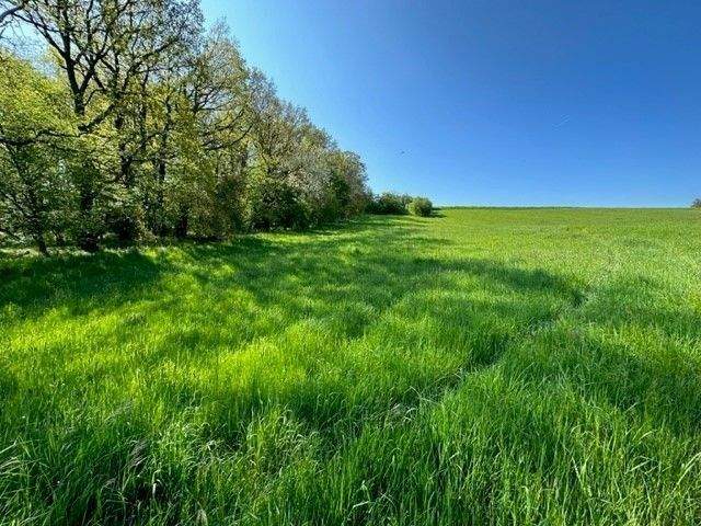 Grundstück Naumburg (Saale) Flemmingen - 79.675&euro; | Angebot:25818946