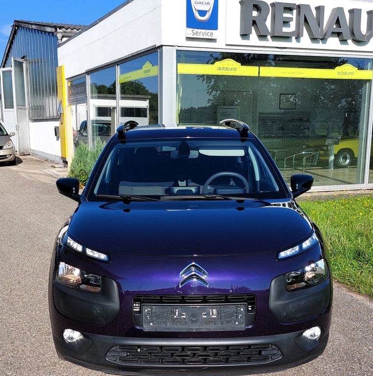 C4 Cactus