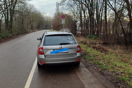 Skoda Octavia 116.000 km 17.000 &euro; Mainz 55130