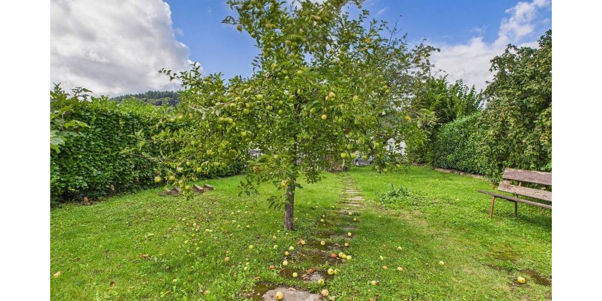 Charmantes Wohn- und Geschäftshaus mit großem Garten. L - Echternach nur 5min! 6 zimmer