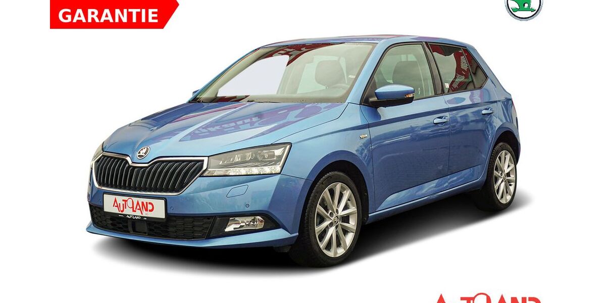 Skoda Fabia 49.987 km 16.990 &euro; Zwickau 08056
