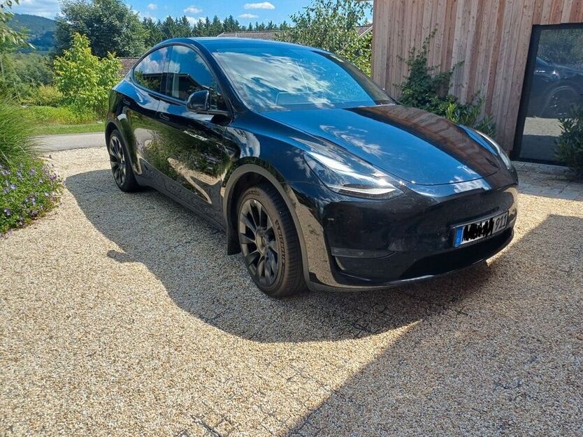 Model Y