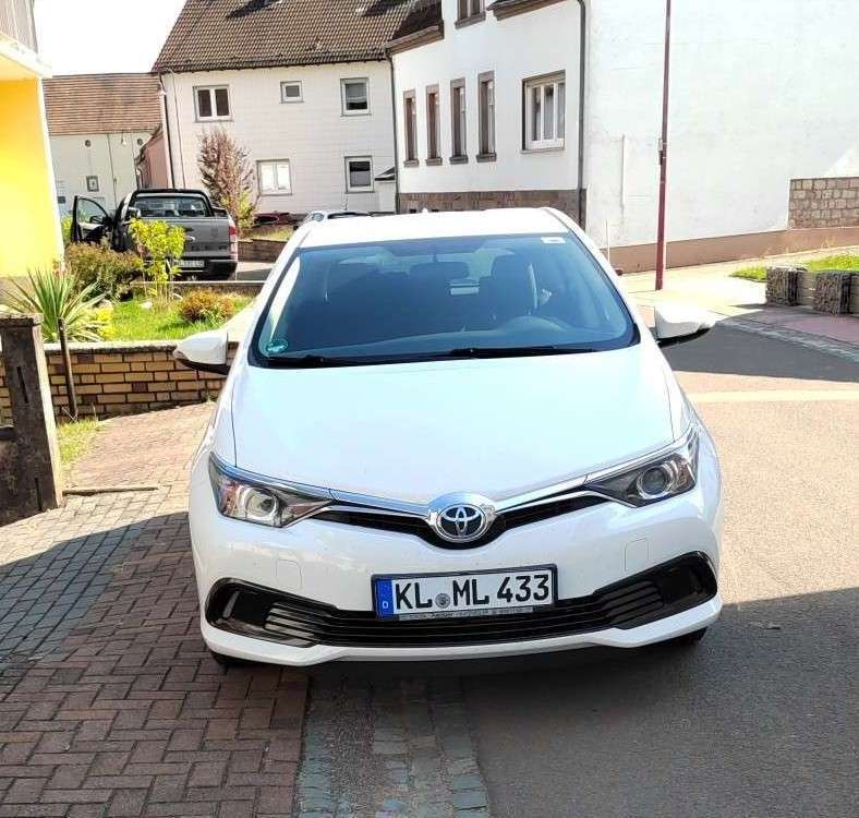 Auris
