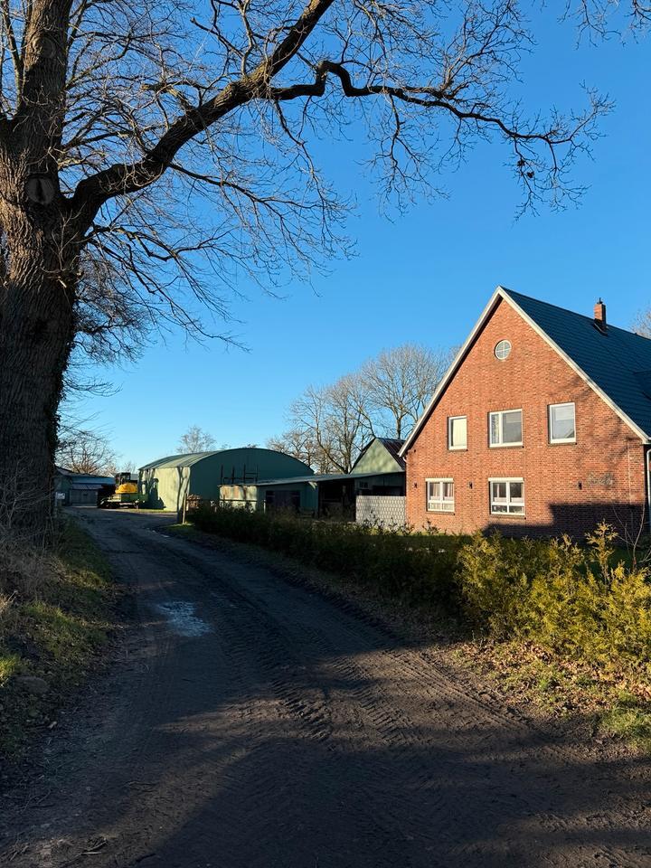 Pferdehof direkt an der Nordsee !