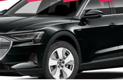 Audi e-tron 31.316 km 29.990 &euro; Regen 94209