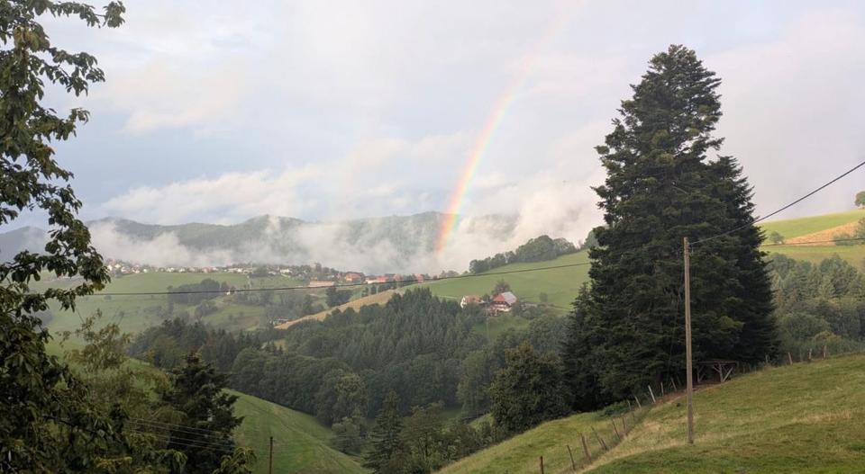 Etagenwohnung Horben - 2 Zimmer, 75 m&sup2;, 1.100&euro; | Angebot:25418101