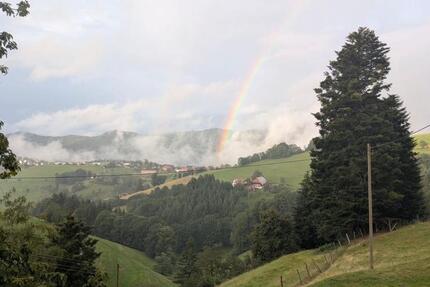 Wohnung Horben - 2 Zimmer, 75 m&sup2;, 1.100&euro; | Angebot:25418101