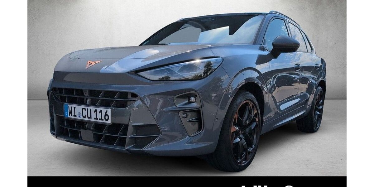 Cupra Terramar 9.999 km 44.480 &euro; Wiesbaden 65189