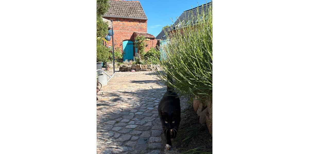 Bauernhaus, Landhaus Bad Wilsnack - 5 Zimmer, 145 m&sup2;, 324.000&euro; | Angebot:27017575