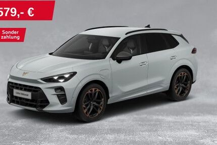 Cupra Terramar 18.061 km 43.450 &euro; Hof 95030