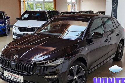Skoda Scala 20.000 km 24.690 € Ichenhausen 89335