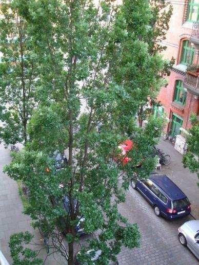 60m² im Herzen von St. Pauli • 3-Zi.-Altbau-Whg mit Westbalkon 3 zimmer