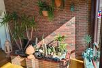 Einfamilienhaus Edewecht - 599.000&euro; | Angebot:26615800