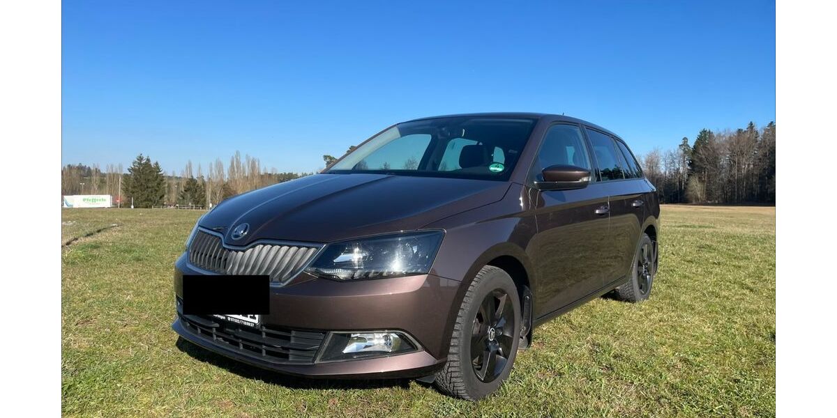Skoda Fabia 122.484 km 8.900 &euro; Pfalzgrafenweiler 72285