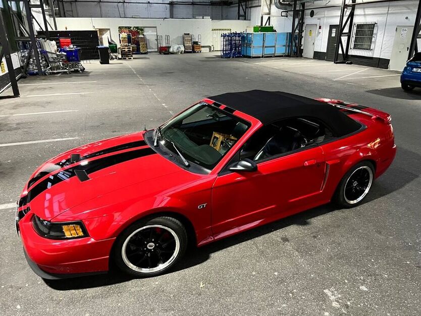 Mustang