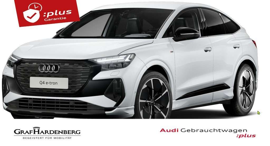 Audi e-tron 16.000 km 55.930 &euro; Aach 78267