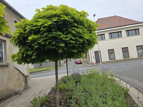 Großzügiges Wohnhaus in 96126 Ermershausen Haßfurt (ID 10536) - Einfamilienhaus Ermershausen Ermershausen , Unterfr | Angebot:25982322