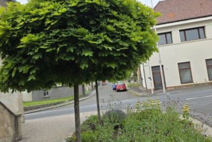 Großzügiges Wohnhaus in 96126 Ermershausen Haßfurt (ID 10536) - Haus Ermershausen Ermershausen , Unterfr | Angebot:25982322