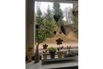 Erdgeschoßwohnung Baiersbronn - 1 Zimmer, 15 m&sup2;, 45.000&euro; | Angebot:26167079