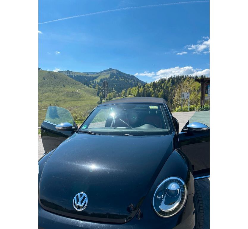 New Beetle