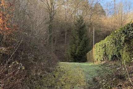 Grundstück Leubsdorf Hesseln - 187.000&euro; | Angebot:26732192