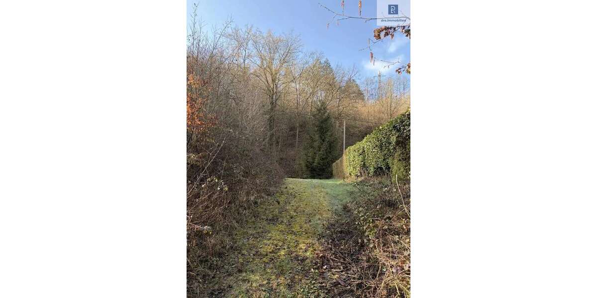 Grundstück Leubsdorf Hesseln - 187.000&euro; | Angebot:26732192