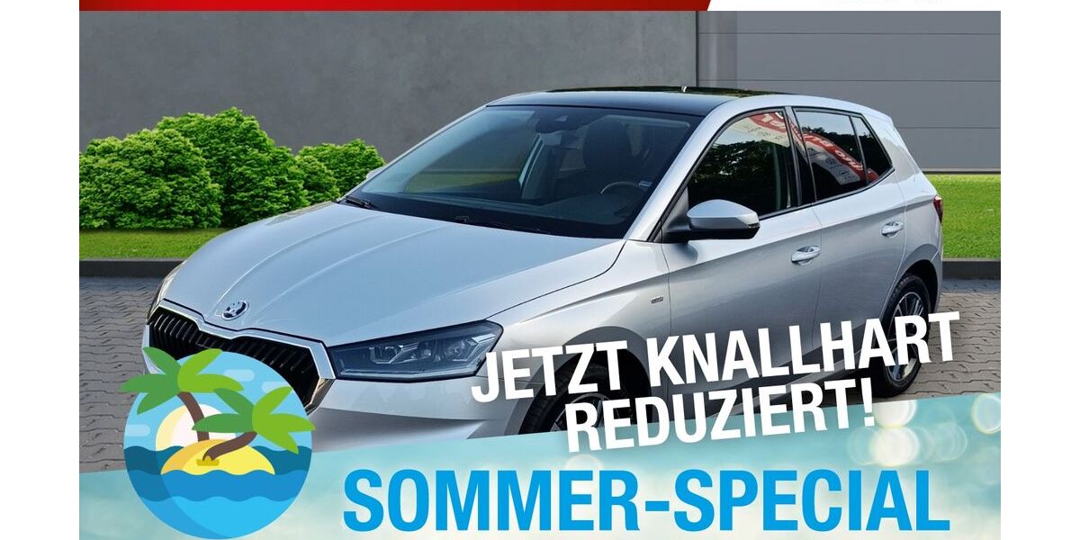 Skoda Fabia 36.992 km 16.870 &euro; Meiningen 98617