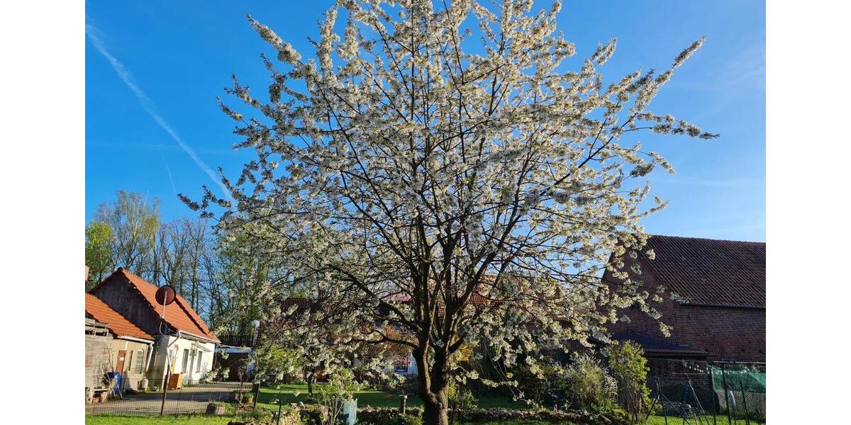 Einfamilienhaus Dömitz - 7 Zimmer, 178 m&sup2;, 135.000&euro; | Angebot:26859213