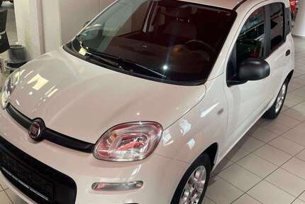 Fiat Panda 8.000 km 8.990 € Weinheim 69469