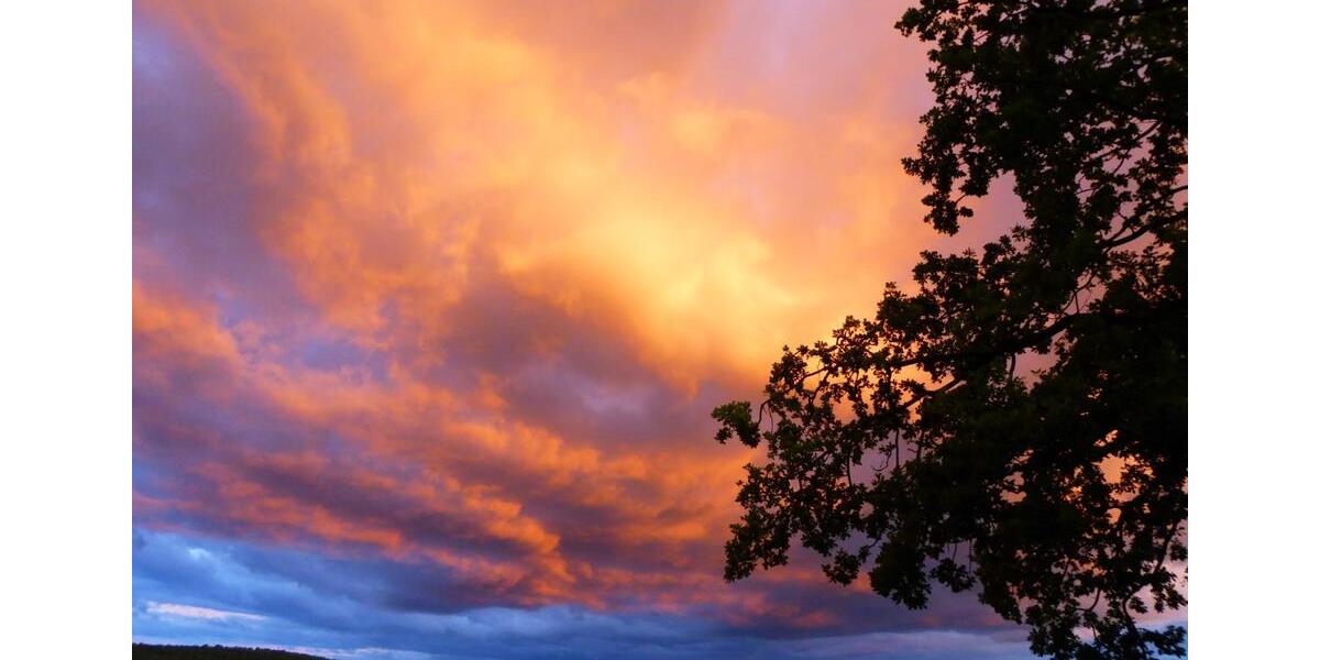 Einfamilienhaus Wimsheim - 6 Zimmer, 200 m&sup2;, 2.000&euro; | Angebot:25224769