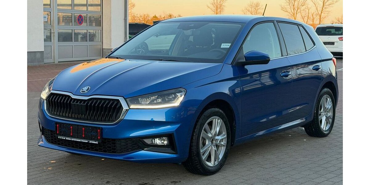 Skoda Fabia 48.380 km 18.190 &euro; Jüterbog 14913