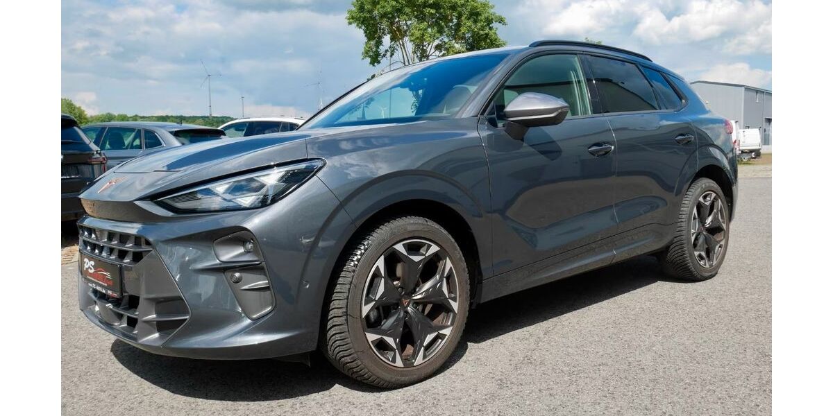 Cupra Terramar 8.950 km 33.888 &euro; Streufdorf 98646