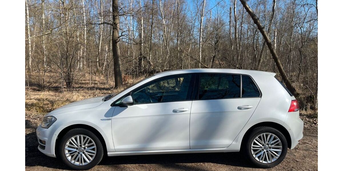 VW Golf 108.000 km 9.300 &euro; Wolfsburg 38442
