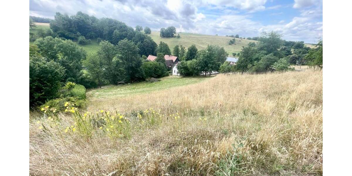 Grundstück Eineborn - 74.750&euro; | Angebot:24044716