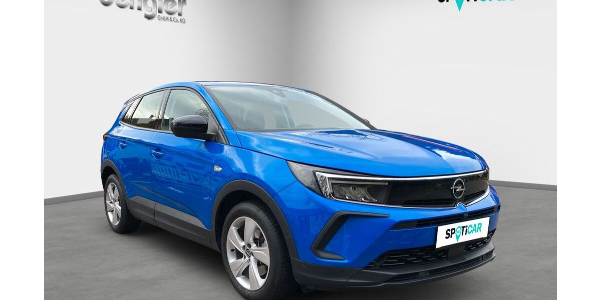Opel Grandland (X) 55.000 km 22.490 &euro; Wildberg 72218