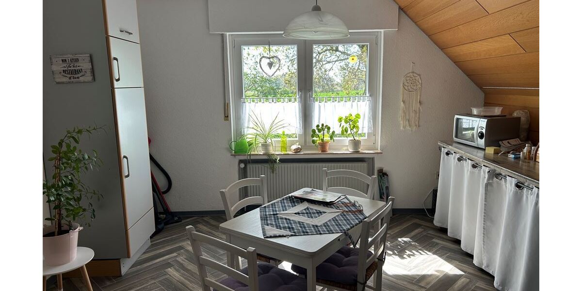 Interessantes Wohnhaus mit 2 Wohnungen, Nebengebäude und Grünland - Einfamilienhaus Stolzenau | Angebot:27142431