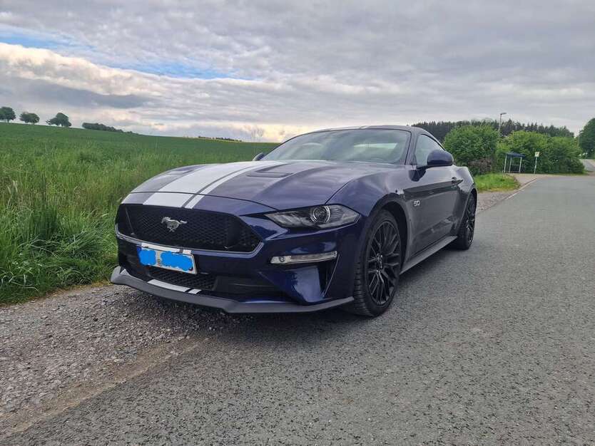Mustang