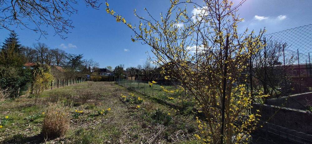 Stadtnahes Wohnen auf großem Grundstück - Viel Platz für Ihre Ideen - Einfamilienhaus Dannenberg | Angebot:26019453